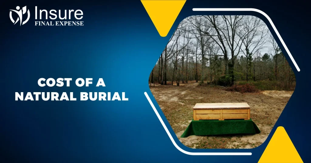 Cost of a Natural Burial