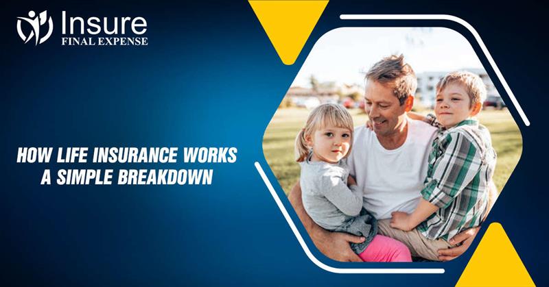 How Life Insurance Works