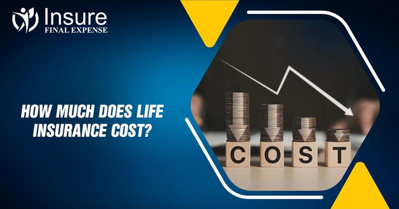 How much does Life insurance cost