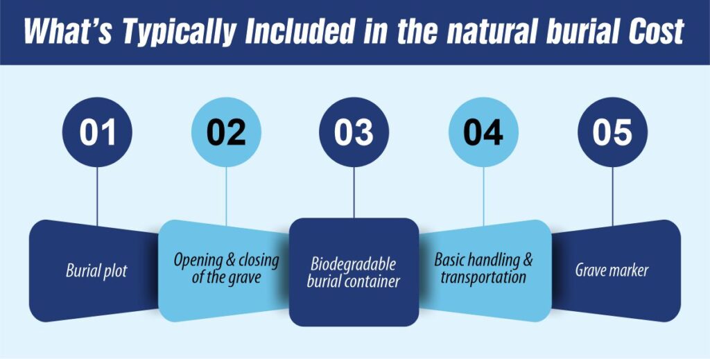 What’s Typically Included in the Cost