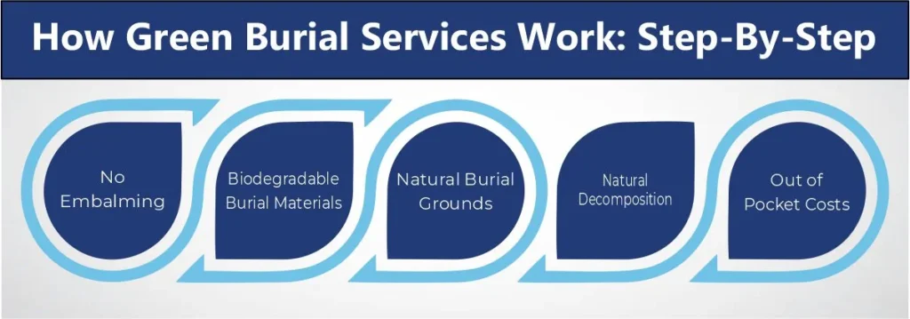 How Green Burial Services Work Step By Step