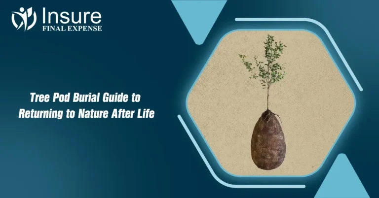 Tree Pod Burial
