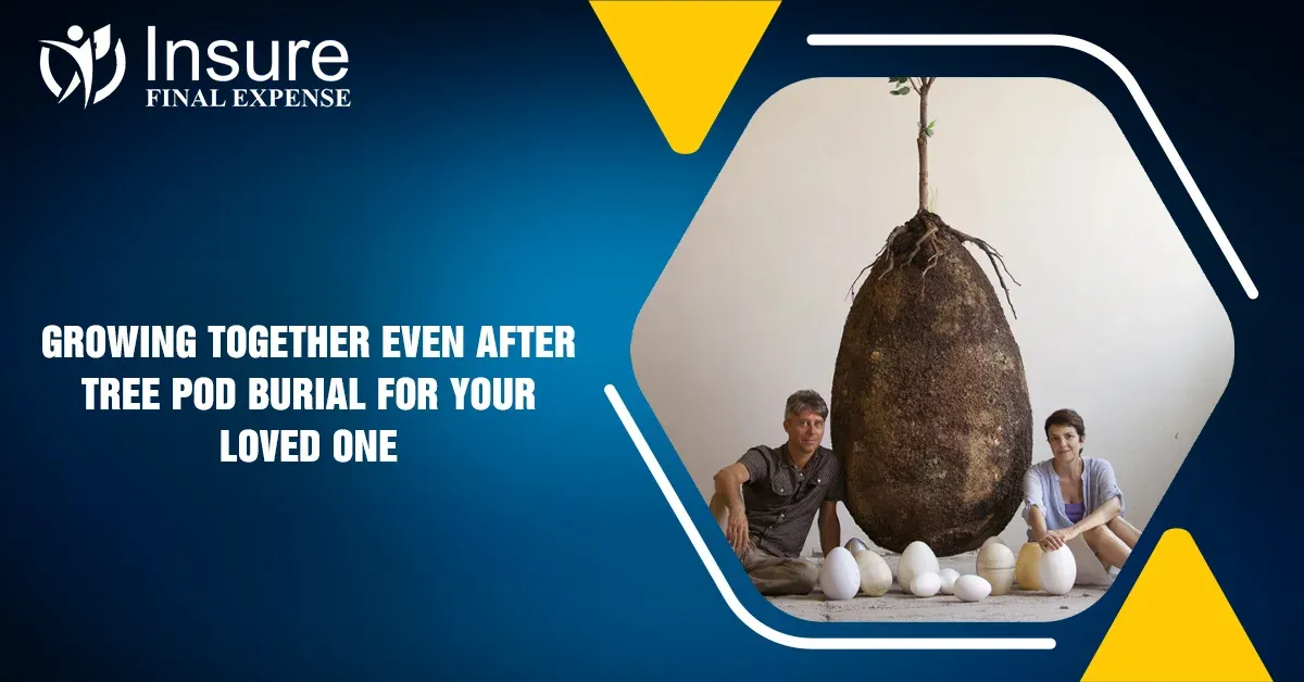 Growing Together, Even After: Tree Pod Burial for Your Loved One