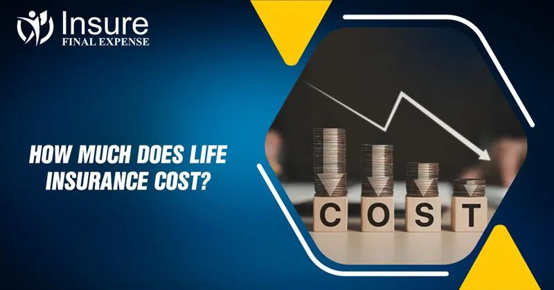 How much does Life insurance cost